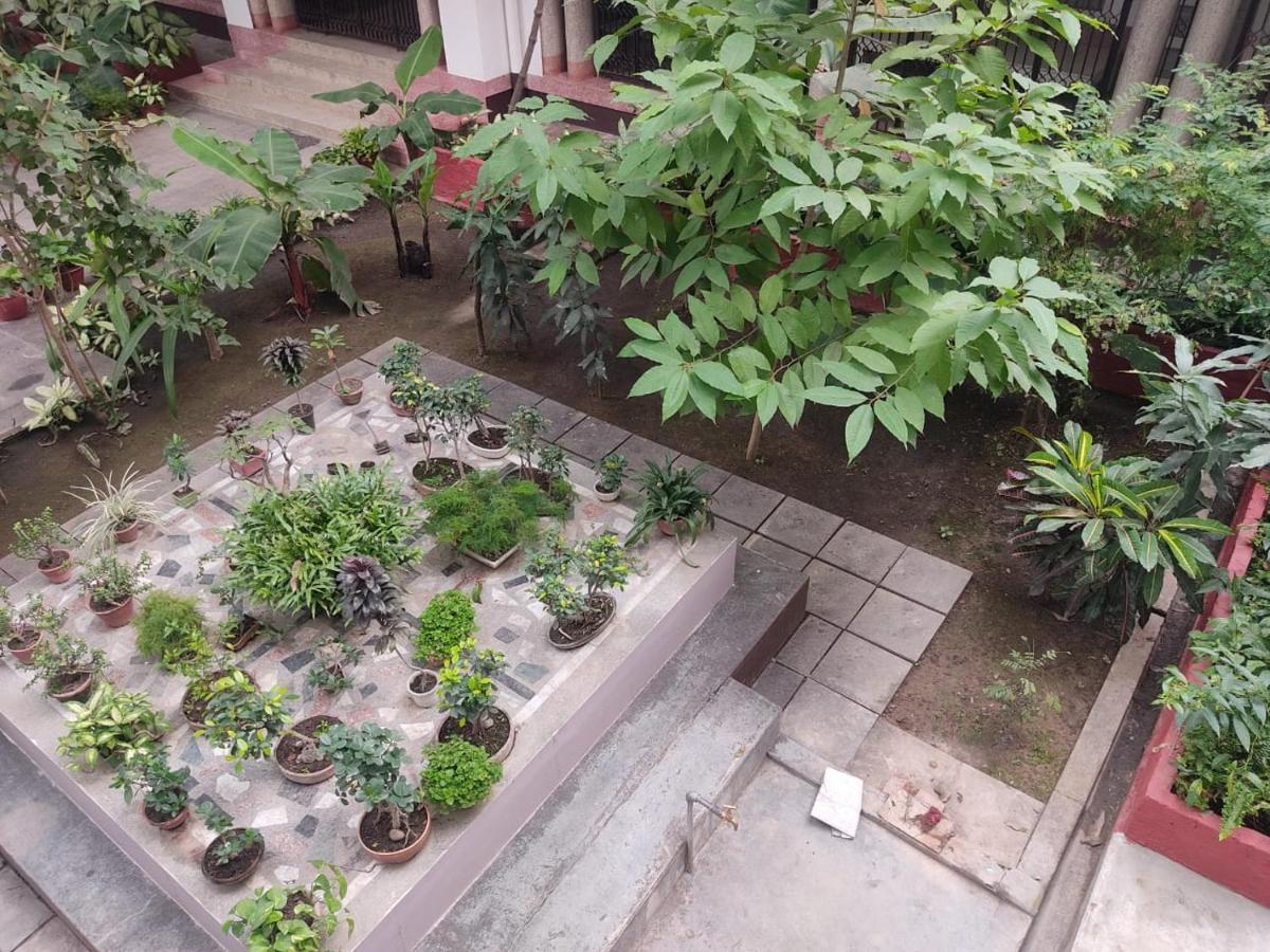 Vatika Homestay Varanasi Eksteriør billede