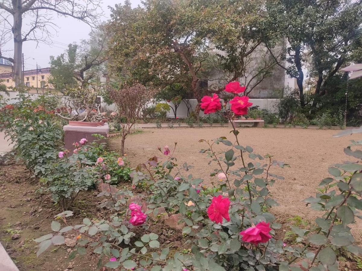 Vatika Homestay Varanasi Eksteriør billede