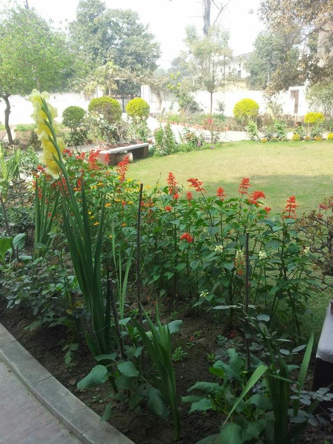 Vatika Homestay Varanasi Eksteriør billede