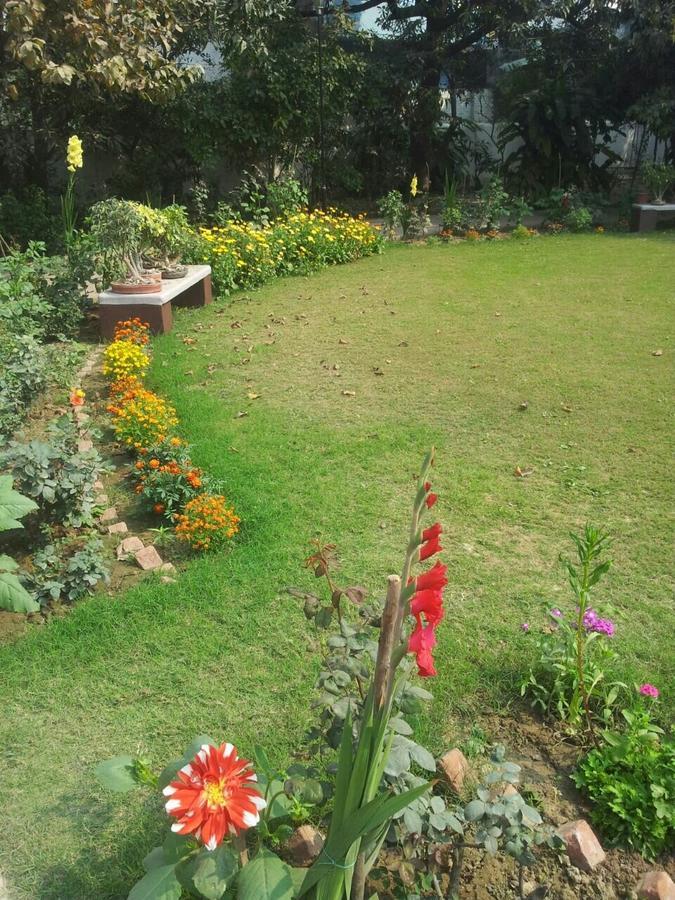 Vatika Homestay Varanasi Eksteriør billede
